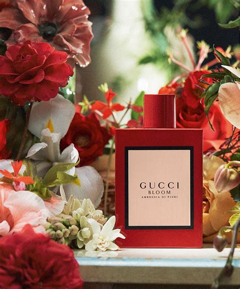 gucci bloom ambrosia|Gucci Bloom Ambrosia di Fiori Review .